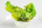 Multi-Colored Pyromorphite Crystal Cluster - China #179783-2